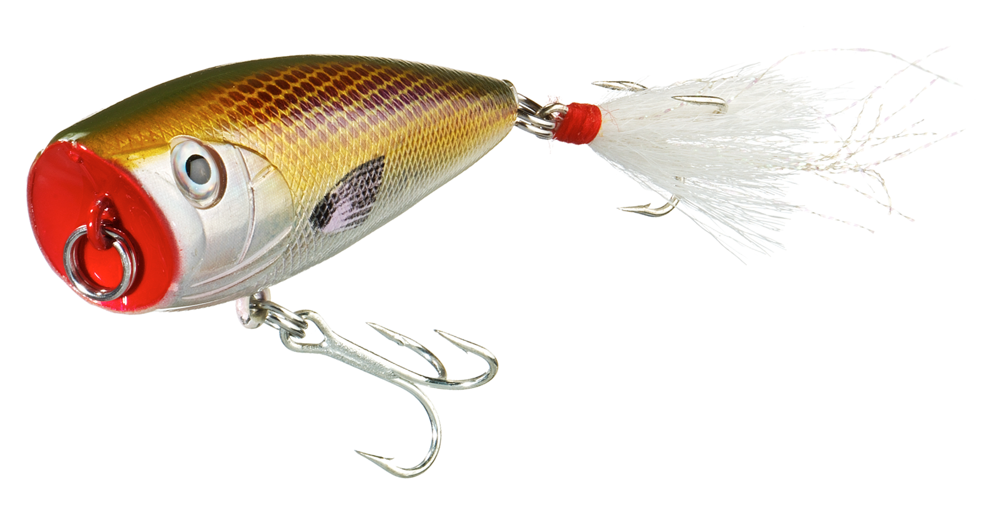 Bass Pro Shops XTS Lures Popper Cabela's